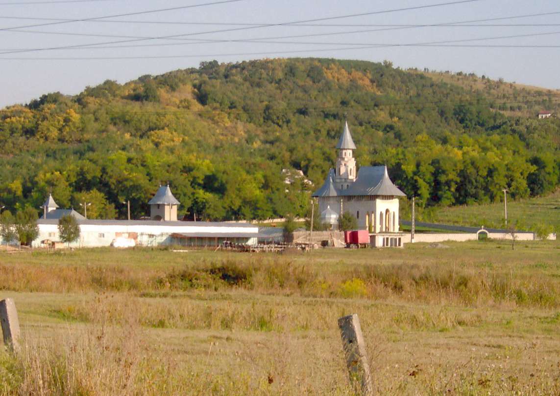 Vedere spre Mănăstirea Vlădiceni